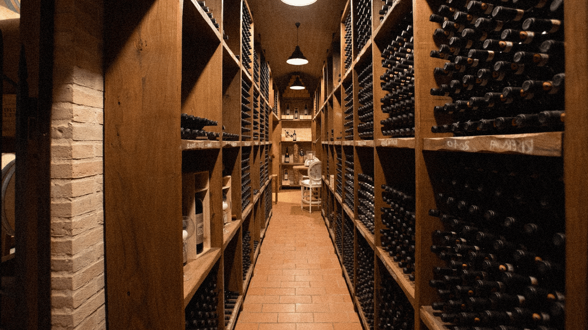 Est-ce que l'assurance habitation couvre les dommages causés à ma cave à vin ?